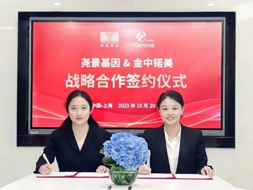 凯发·k8(国际) - 官方网站